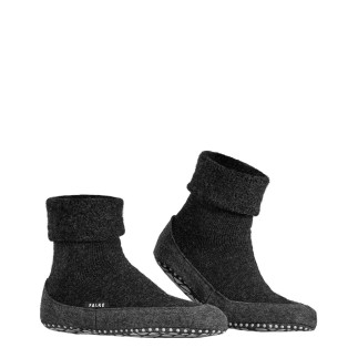 COSYSHOE