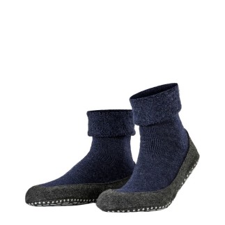 COSYSHOE