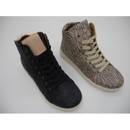 Bisgaard Gaia marine ou zebre
